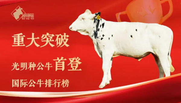 光明乳业实现重大突破